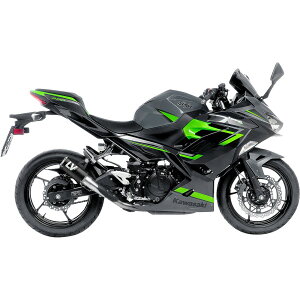 �yUSA�݌ɂ���z LEOVINCE LV Corsa Carbon Fiber?�X���b�v�I���}�t���[ 24�N Ninja 500 �� 1811-4304 HD�X