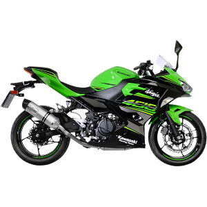 �yUSA�݌ɂ���z LEOVINCE LV One EVO �X���b�v�I���}�t���[ 24�N Ninja 500 �V���o�[ 1811-3807 HD�X