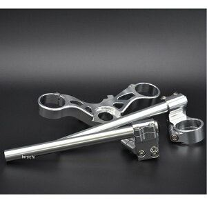 EbhXgbN WOODSTOCK gbvubWZp[gnhLbg 17Nȍ~ Z900RS Vo[/Vo[ TBG-SPH-K36-SLSL HDX