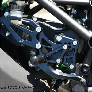 EbhXgbN WOODSTOCK obNXebvLbg 18Nȍ~ Ninja H2SX SE Vo[ WBS-K37SE-SL HDX