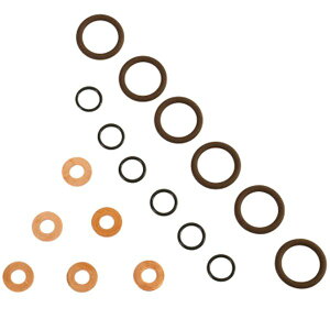�yUSA�݌ɂ���z BD Diesel ISB �C���W�F�N�^�[ Seal Kit - Dodge 1998.5-2002 5.9L 24-valve bdd1075800 HD�X
