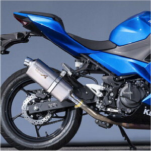}g[VO SPEC-A XbvI}t[ TYPE-S 18N-21N Ninja250 40255-01NSB HDX