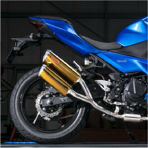 }g[VO SPEC-A tGL][Xg}t[ TWIN S[h 18N- Ninja250 40255-52SAG HDX
