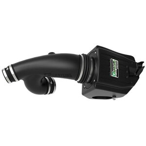�yUSA�݌ɂ���z aFe Quantum Pro DRY S Cold �G�A�C���e�[�N�V�X�e�� 15-18 �t�H�[�h F150 EcoBoost V6-3.5L/2.7L - Dry afe53-10008D HD�X