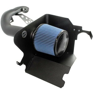 �yUSA�݌ɂ���z aFe MagnumFORCE Intakes Stage-2 P5R AIS P5R �t�H�[�h F-150 04-08 V8-5.4L afe54-10512 HD�X