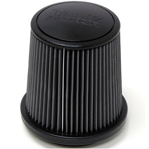 yUSA݌ɂz Banks Power 14-15 Chevy/GMC Diesel/Gas Ram Air System GAtB^[ Gg - Dry gbe42141-D HDX