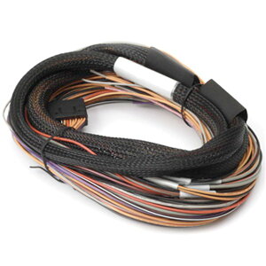 �yUSA�݌ɂ���z Haltech IO 12 Expander Box 8ft Flying Lead Harness (A/B Box) halHT-049902 HD�X