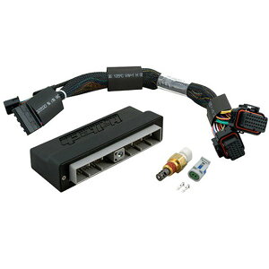 yUSA݌ɂz Haltech jbT Skyline R34 GT-T/Stagea WC34 (M/T Only) Elite 2000/2500 Plug-n-Play Adaptor Harness halHT-141258 HDX