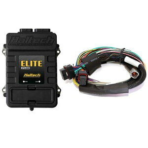 yUSA݌ɂz Haltech Elite 2500 Basic Universal Wire-In Harness ECU Lbg halHT-151302 HDX
