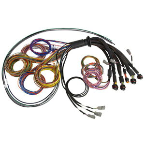 �yUSA�݌ɂ���z Haltech NEXUS R5 Universal Wire-In Harness - 2.5M (8ft) halHT-185200 HD�X