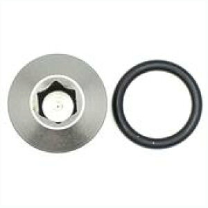 �yUSA�݌ɂ���z DeatschWerks 6AN ORB Male Plug Low Profile Internal Allen/Hex (Incl. O�����O) dwk6-02-0717 HD�X