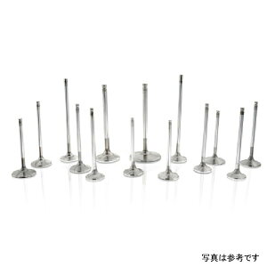 yUSA݌ɂz Ferrea 29mm 5.97mm 102mm 24xt[ +1mm gv Grv X[p[AC GL][Xgou 10Zbg Audi TFSI DAZA ferF2418P HDX