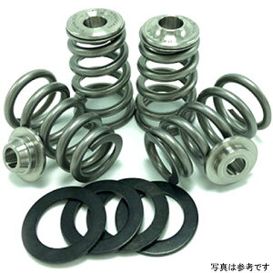 �yUSA�݌ɂ���z GSC P-D �j�b�T�� VR38DETT Conical Valve Spring Kit w/ TVS1903 Conical Spring gsc5068 HD�X
