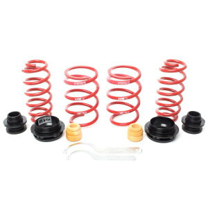 yUSA݌ɂz H&R 18N-21N AEfB RS3 (AWD) Typ GY VTF AWX^u Lowering XvO (w/ RS-Sport Sus.) w/DCC hrs23027-1 HDX