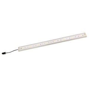 쏊 KOITO LED tACg 12V FLR12 HDX