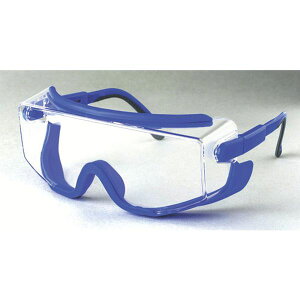 �y���[�J�[�݌ɂ���z O141F �F�s�{����(��) �V���K�[ �ی상�K�l O141-F HD�X