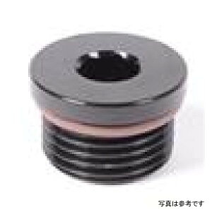 �yUSA�݌ɂ���z Radium Engineering 8AN ORB Plug rad14-0150 HD�X