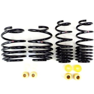 yUSA݌ɂz RS-R 2023+ z_ VrbN ^CvR (FL5) Down Sus Springs rsrH035D HDX