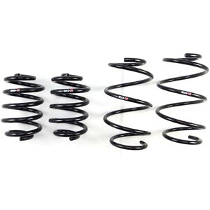�yUSA�݌ɂ���z RS-R 09+ �j�b�T�� GT-R TI2000 Down Sus Springs rsrN350TD HD�X