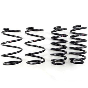 yUSA݌ɂz RS-R 10+ NTX CT200h (ZWA10) Down Sus Springs rsrT100D HDX