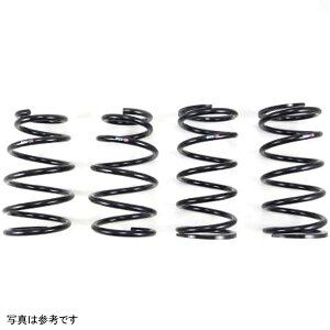 yUSA݌ɂz RS-R 15+ NTX RC350 AWD (GSC10) Down Sus Springs rsrT996D HDX