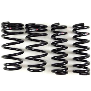 yUSA݌ɂz RS-R 14+ NTX RC-F / 2016 GS-F Down Sus Springs rsrT999D HDX