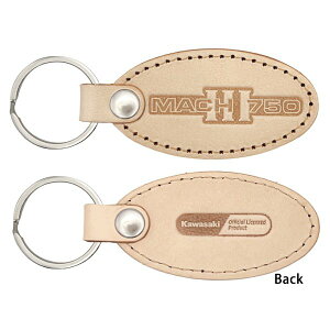 y[J[݌ɂz WENzEC JTL 750[SS MACH Gu YU[L[z_[ 4580588023623 HDX