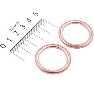 y[J[݌ɂz |bV POSH POSH GL][XgKXPbg Ninja250 2 485591 HDX