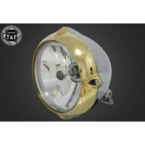 �K���[�WT&F 5.75in �r���e�[�W�w�b�h���C�g(�^�J/�|���b�V��)���[�������Y(�N���A�[)+�X�e�[A DS400 4021357 HD�X