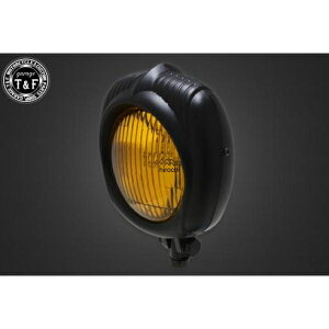 �K���[�WT&F �G���N�g�����C��54���v���J�w�b�h���C�g(�}�b�g�u���b�N)�C�G���[�����Y+�X�e�[A DS250 4022980 HD�X
