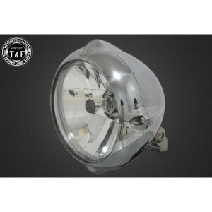 �K���[�WT&F 5.75in �r���e�[�W�w�b�h���C�g(�|���b�V��)���[�������Y(�N���A�[)+�X�e�[A DS250 4021295 HD�X