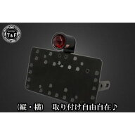 ガレージT&F サイドナンバーキット&レトログロウテールランプ(ダイヤカット)+ステー ドラッグスター400/4…