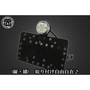 K[WT&F TChio[Lbg&ی^e[v(LED)NA[Y+Xe[ SR400 SN0475 HDX
