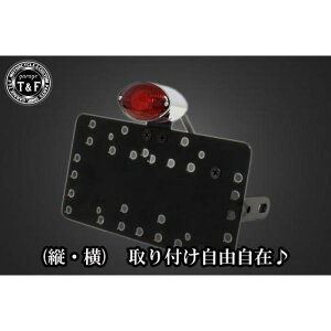 K[WT&F TChio[Lbg&X[LbcACe[v+Xe[ hbOX^[250 SN0321 HDX