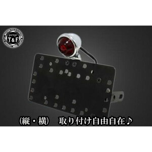 �K���[�WT&F �T�C�h�i���o�[�L�b�g&�u���b�g�e�[�������v(���b�L)�N���V�b�N�����Y+�X�e�[ CL250 SN06814 HD�X