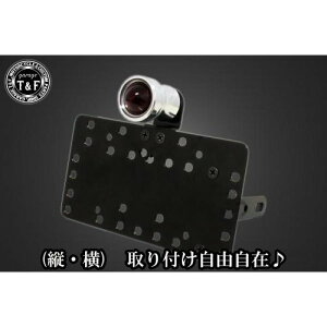 �K���[�WT&F �T�C�h�i���o�[�L�b�g&���[�N�e�[�������v(�{���b�V��)+�X�e�[ �C���g���[�_�[LC250 SN04224 HD�X