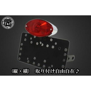�K���[�WT&F �T�C�h�i���o�[�L�b�g&�L���b�c�A�C�e�[�������v+�X�e�[ �C���g���[�_�[LC250 SN03824 HD�X