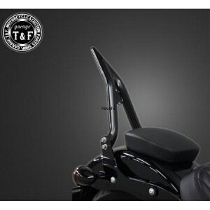 K[WTF ɑ38V[V[o[~fBA(ubN)tF_[p \teC Xg[g{u 703233 HDX