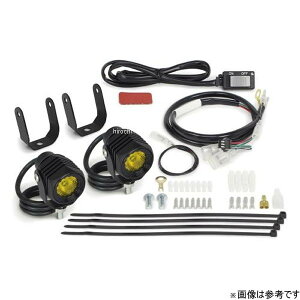 y[J[݌ɂz SP LEDtHOvLbg3.0(950/CG[) (bO) (2) NXJu50(AA06)ANXJu110 05-08-0668 HDX