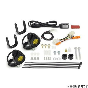 y[J[݌ɂz SP LEDtHOvLbg3.0(950/CG[) (2) CT125 (wbhCgXe[p) 05-08-0669 HDX