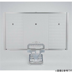 【メーカー在庫あり】 アールズギア ラジエターコアガード 17年-20年 Z900RS シルバー AC00-043K-SS HD店