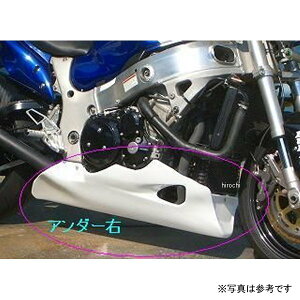 No[Et CLEVER WOLF A_[JE GSX1300RnuT J[{D HAYA-103-02 HDX