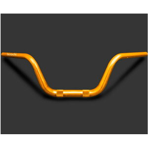 y[J[݌ɂz s[GV[ PMC ARCHI ARCHI-YB V{ A~nho[ 18N-25N Z900RS S[h 189-5705/1 HDX