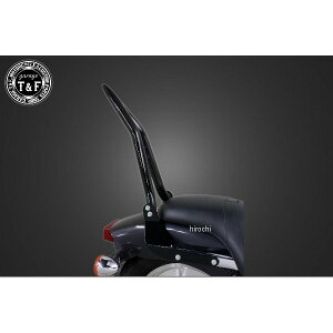 K[WT&F ɑ38V[V[o[O tF_[p }Oi250 ubN 707035 HDX