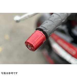 �A�O���X AGRAS �o�[�G���h RD 20Z650 20�N-25�N Z650 300-407-000R HD�X