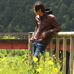 yNewzy[J[݌ɂz fOi[ DEGNER 24WJ-5 t[htU[WPbg uE MTCY 4524486108488 HDX