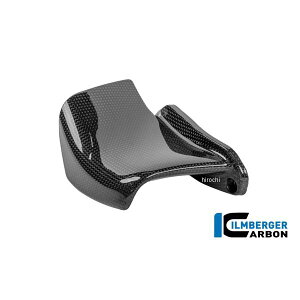 Co[K[ Ilmberger ECObgLbg E J[{ObV[ hDJeB Streetfighter V4/S 25 CG.VFR.006.SF5V4 HDX