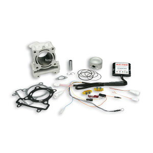 }bV MALLOSSI A~{AAbvLbg 183cc S-MAX(155cc)/}WFXeBS 3115707 HDX