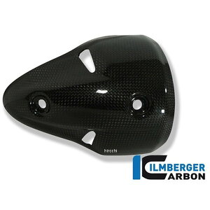 Co[K[ Ilmberger GO][XgveN^[  Ȃ hDJeB Monster 696 08-09 AHL.003.D696M.K-Monster696 HDX