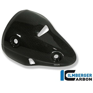 Co[K[ Ilmberger GO][XgveN^[ E Ȃ hDJeB Monster 696 08-09 AHR.004.D696M.K-Monster696 HDX